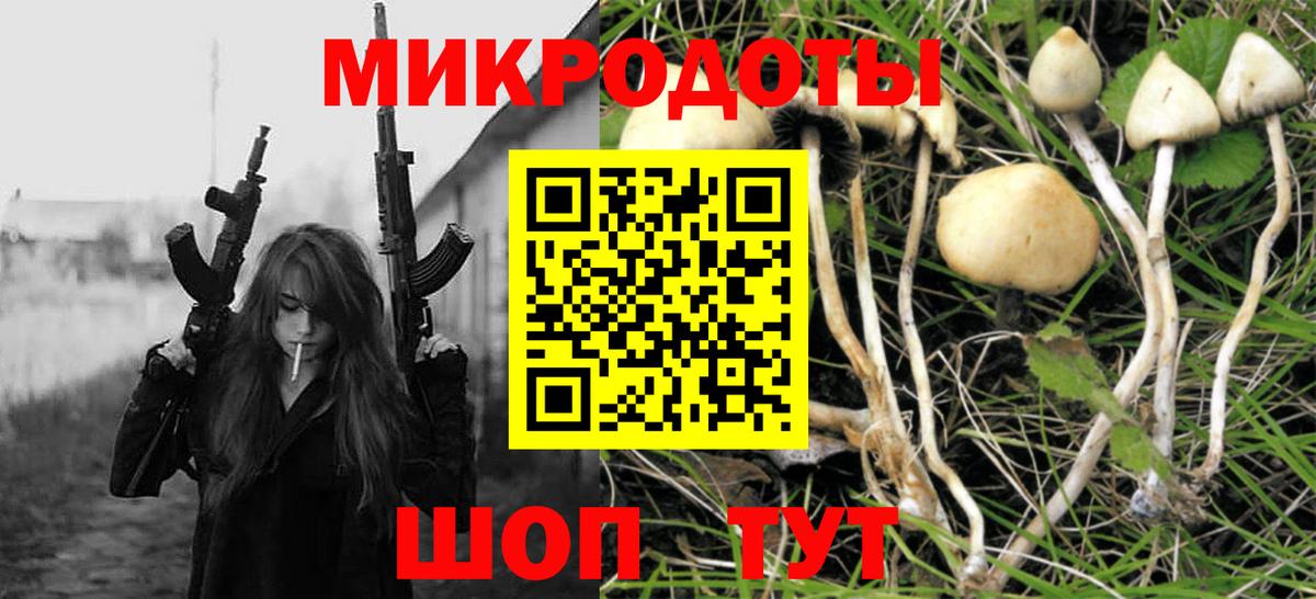 Псилоцибиновые грибы MAGIC MUSHROOMS Майкоп