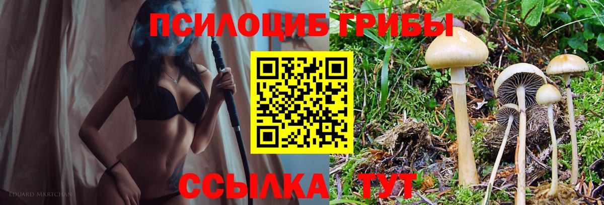 Псилоцибиновые грибы мухоморы  Псилоцибиновые грибы GOLDEN TEACHER  Вход с VPN  Майкоп 
